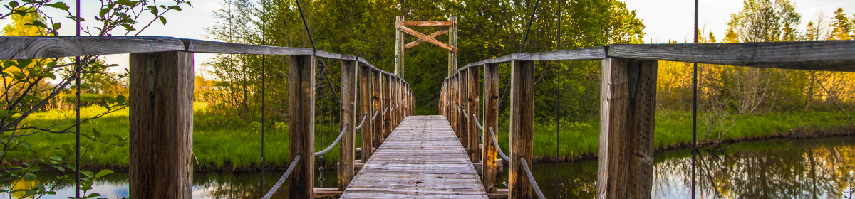 The Poet Laureate of Michigan's Upper Peninsula