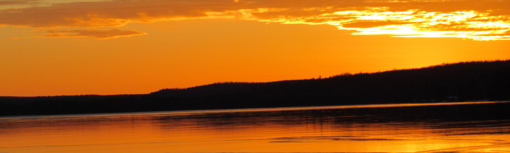User banner image